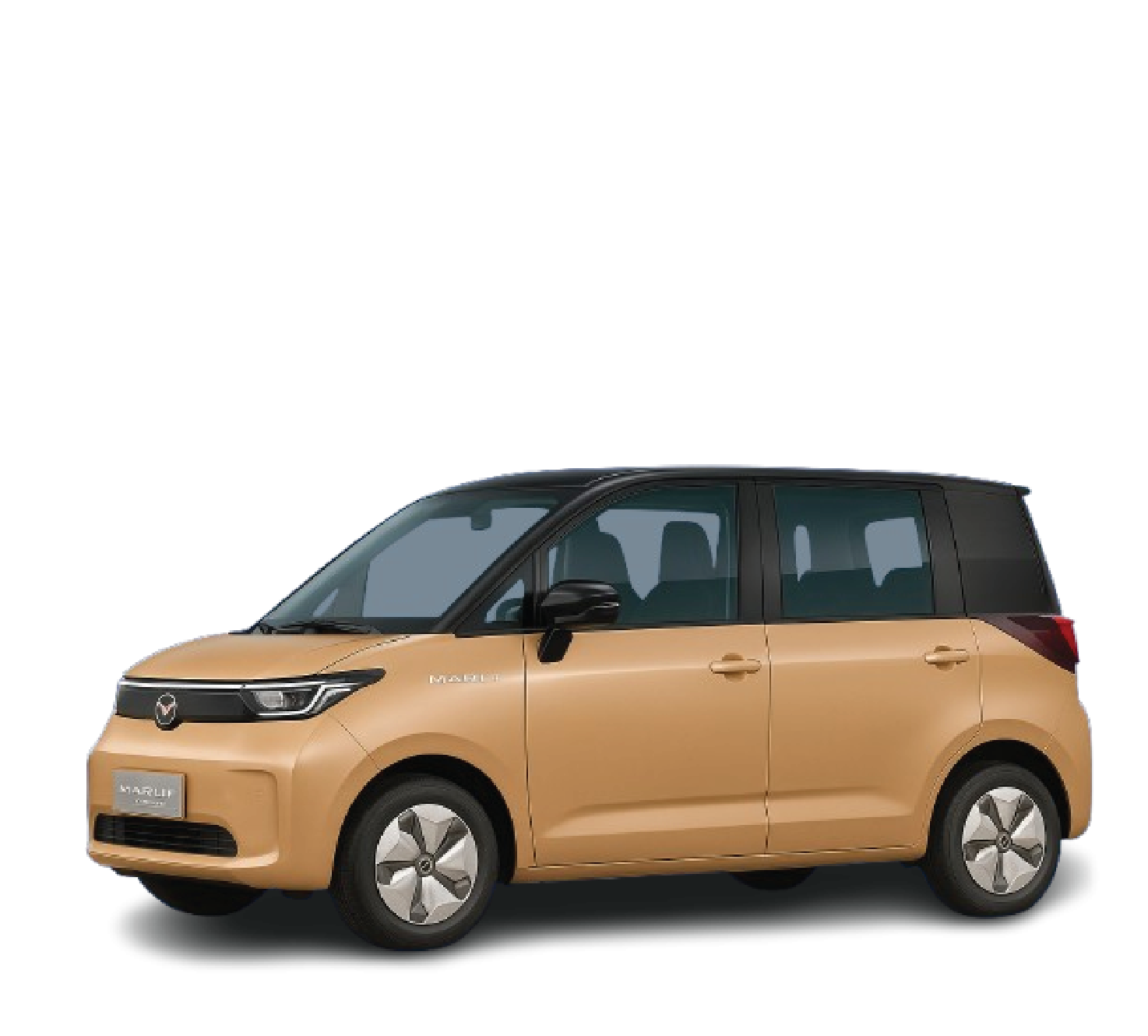 EV Tesa_1
